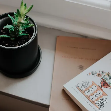 Anelia Boutique * 나플리오